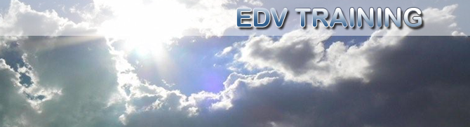 DIREKTSCHULUNG - EDV TRAINING